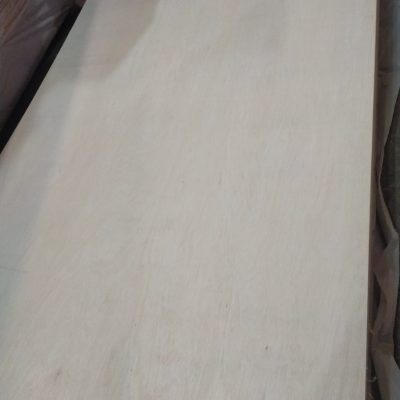 WhatsApp Image 2024-01-03 at 11.51.15 AM (1)